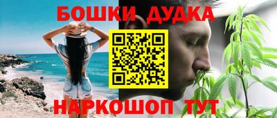 PSILOCYBIN Бийск