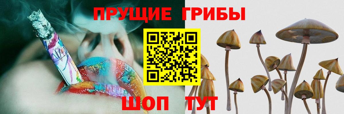 Псилоцибиновые грибы Psilocybe  Вход с VPN  Бахчисарай 